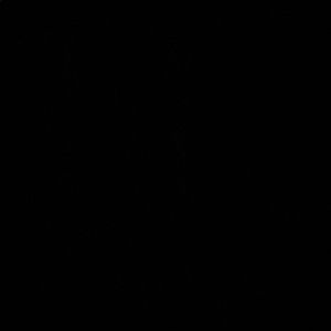 Meet your Posher, Claire